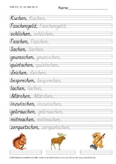 DSS_2S_Bu_chen_Nr_04.pdf